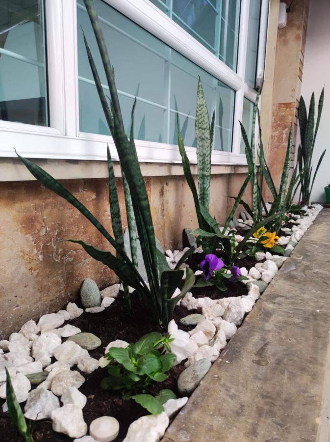 בוגוטה Hotel Montefiore מראה חיצוני תמונה